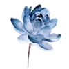 Стикер 47 Flowers 2