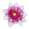 Стикер 37 Flowers 2