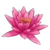 Стикер 38 Flowers 2