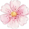 Стикер 48 Flowers 2