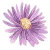 Стикер 42 Flowers 2