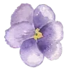 Стикер 46 Flowers 2