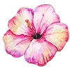 Стикер 41 Flowers 2