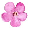 Стикер 43 Flowers 2