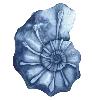 Стикер 22 Luz