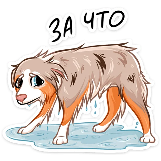 🌧 Стикер «Аусси Раф» для Telegram