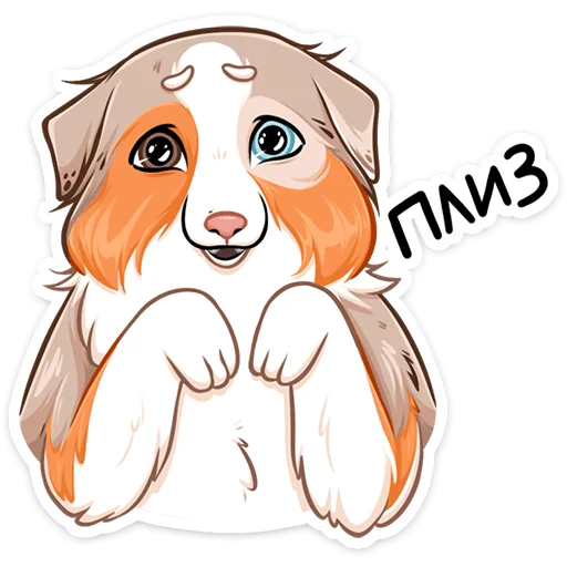 🥺 Стикер «Аусси Раф» для Telegram