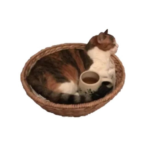 Стикерпак прекрасная пора для Telegram