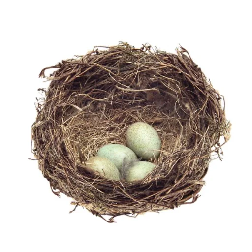 🥚 Стикер «прекрасная пора» для Telegram