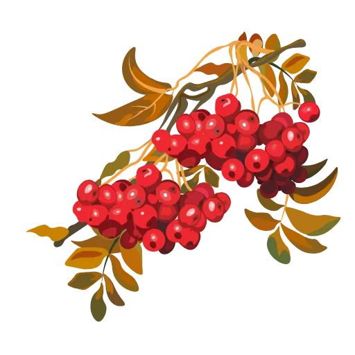 🍁 Стикер «Autumn» для Telegram