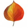 🍁 Эмодзи «Осенние оранжевые буквы» для Telegram
