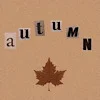 Обложка набора autumn atmosphere