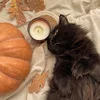 Стикер 27 autumn atmosphere