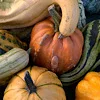 Стикер 40 autumn atmosphere