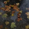 Стикер 5 autumn atmosphere