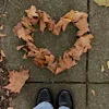 Стикер 26 autumn atmosphere