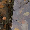 Стикер 3 autumn atmosphere