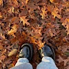 Стикер 6 autumn atmosphere