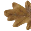Стикер 30 Autumn #timeofyear #autumn