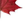 Стикер 56 Autumn #timeofyear #autumn