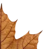 Стикер 42 Autumn #timeofyear #autumn