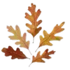 Стикер 45 Autumn #timeofyear #autumn