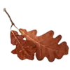 Стикер 58 Autumn #timeofyear #autumn