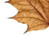 Стикер 49 Autumn #timeofyear #autumn
