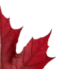 Стикер 48 Autumn #timeofyear #autumn