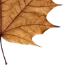 Стикер 50 Autumn #timeofyear #autumn