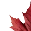 Стикер 47 Autumn #timeofyear #autumn