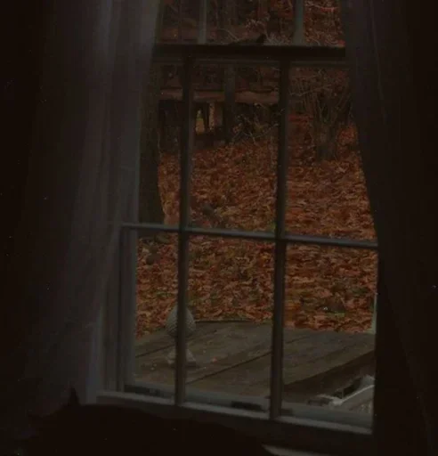 🍂 Стикер «Autumn Осень» для Telegram