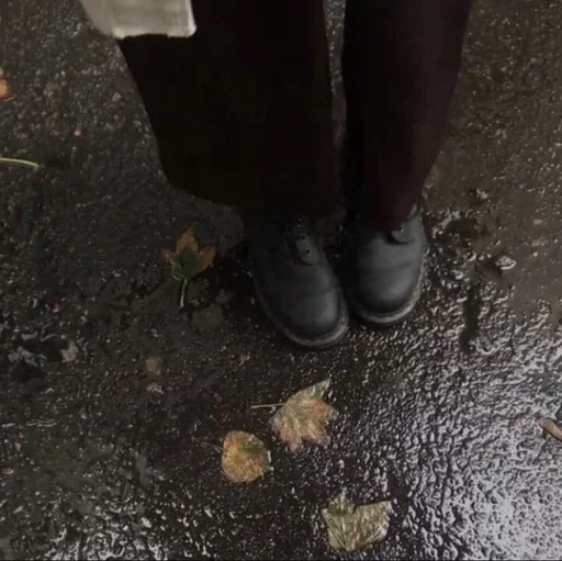 🍂 Стикер «Autumn Осень» для Telegram