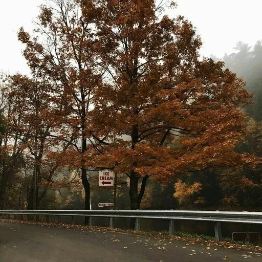 🍂 Стикер «Autumn Осень» для Telegram