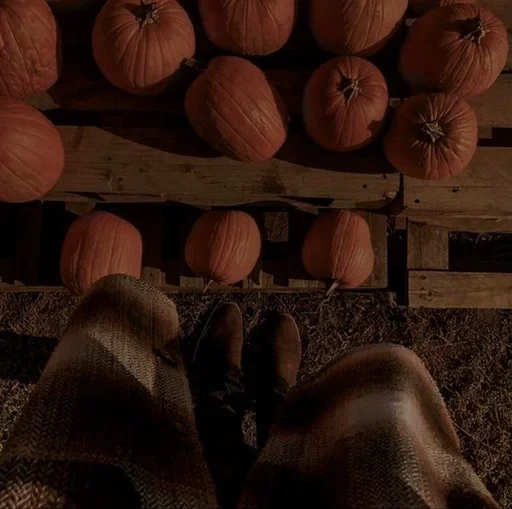 🍂 Стикер «Autumn Осень» для Telegram
