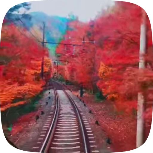 🍁 Стикер «Autumn» для Telegram