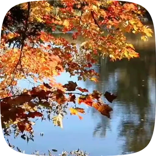 🍁 Стикер «Autumn» для Telegram