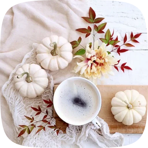 🍁 Стикер «Autumn» для Telegram