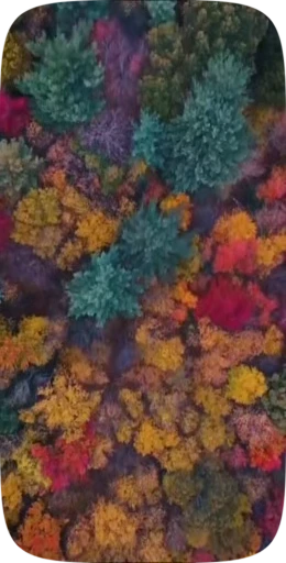 🍁 Стикер «Autumn» для Telegram