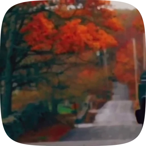 🍁 Стикер «Autumn» для Telegram