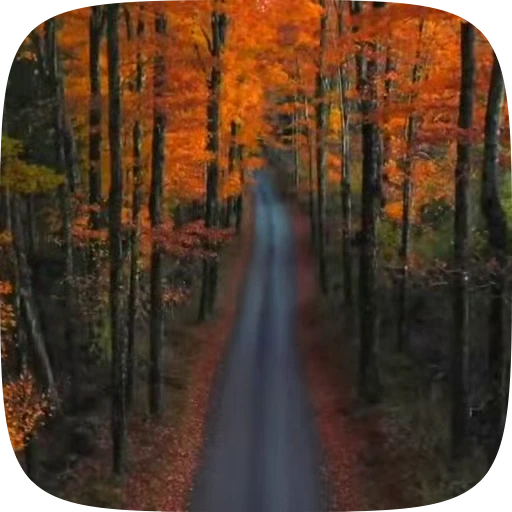 🍁 Стикер «Autumn» для Telegram