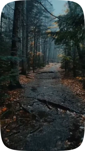 🍁 Стикер «Autumn» для Telegram