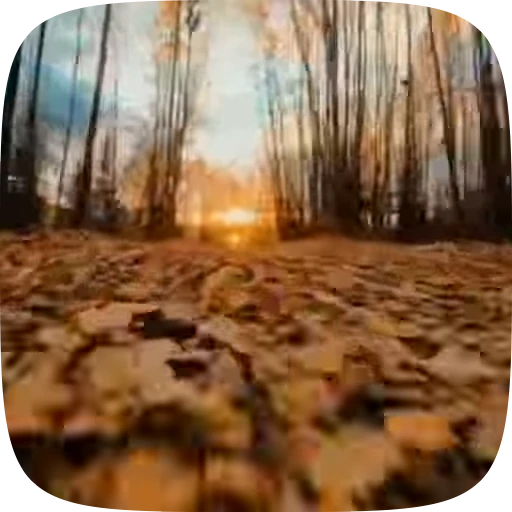 🍁 Стикер «Autumn» для Telegram