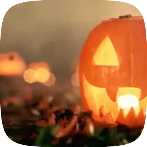 🍁 Стикер «Autumn» для Telegram