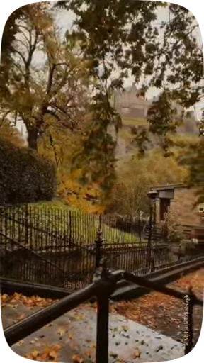 🍁 Стикер «Autumn» для Telegram