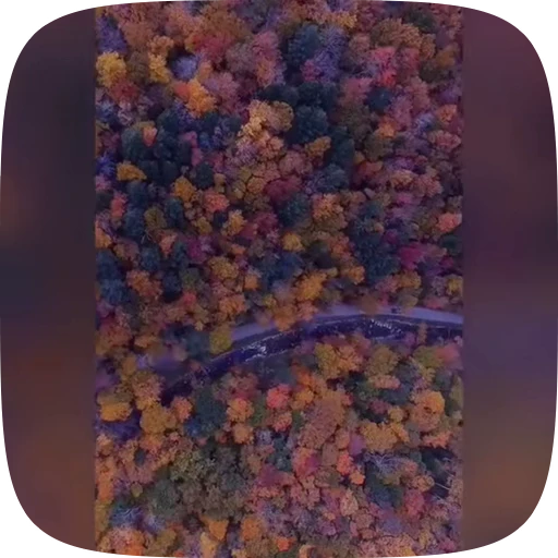 🍁 Стикер «Autumn» для Telegram