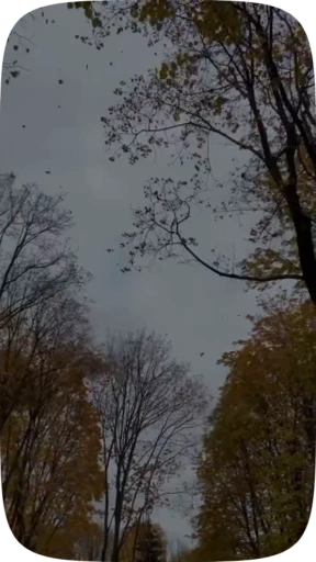 🍁 Стикер «Autumn» для Telegram