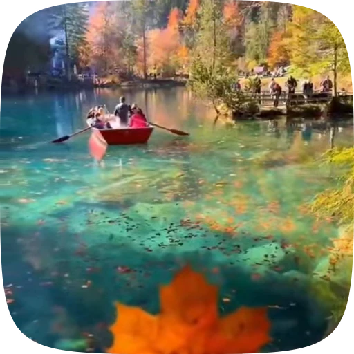 🍁 Стикер «Autumn» для Telegram