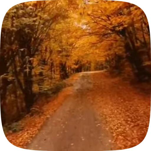 🍁 Стикер «Autumn» для Telegram