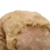 Стикер 51 ㅤᜊ 𝑎𝗎𝗍𝗎𝗆𝗇 𝗅𝖾𝗮𝖿